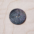 Etched Thatch Shell Button