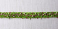 St. Augustine Sequin and Pearl Trim ford-embellish-trims Trim.